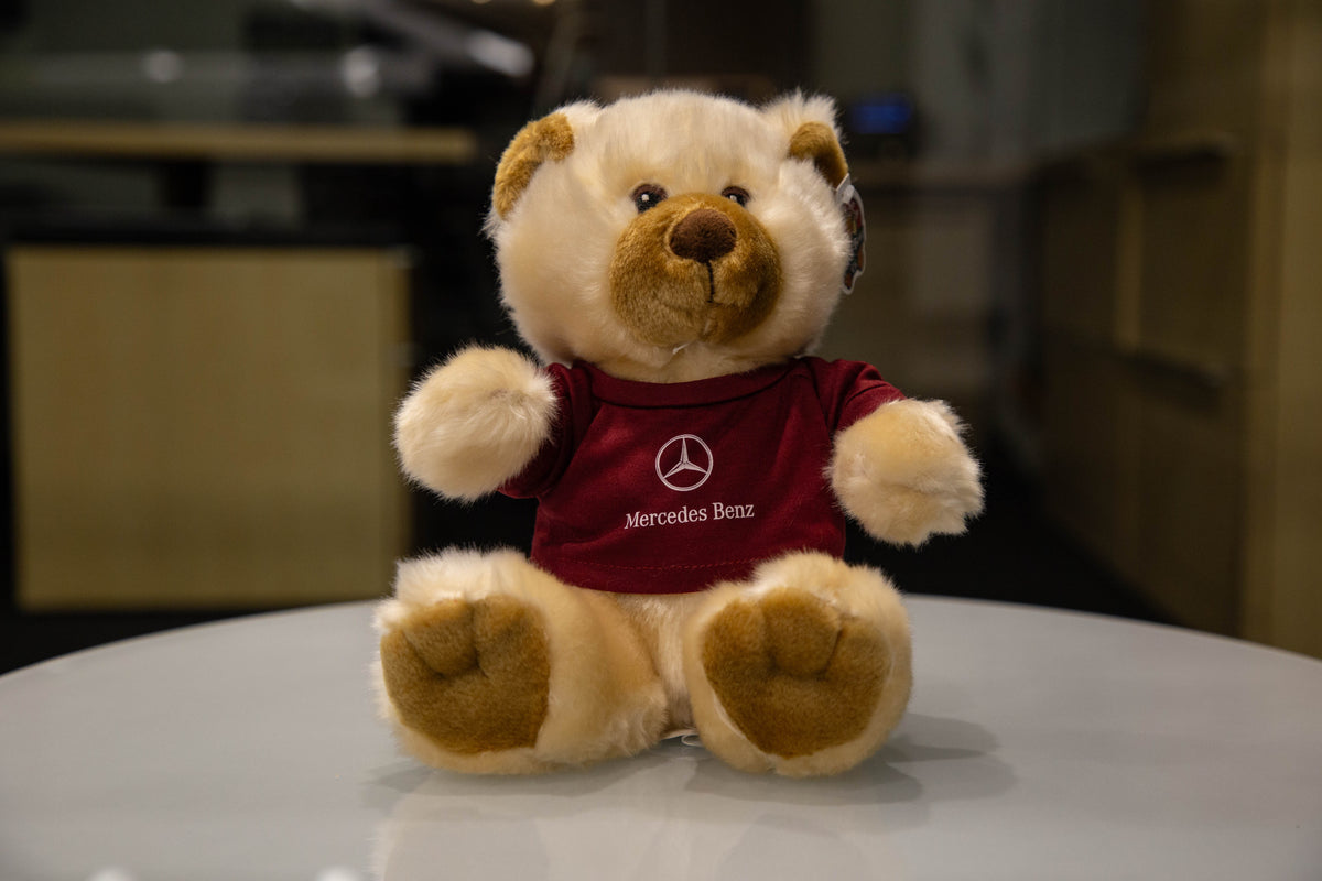靴 uncle teddy bear  Rossendale $_12.JPG?set_id=880000500F