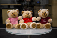 Plush Teddy Bear with Mercedes-Benz Tee